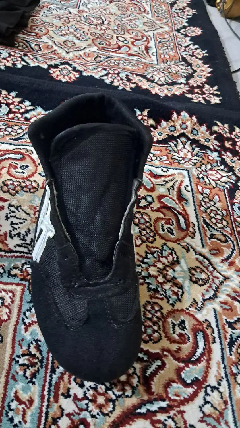 کفش کشتی|کیف، کفش، کمربند|نسیم‌شهر, |دیوار