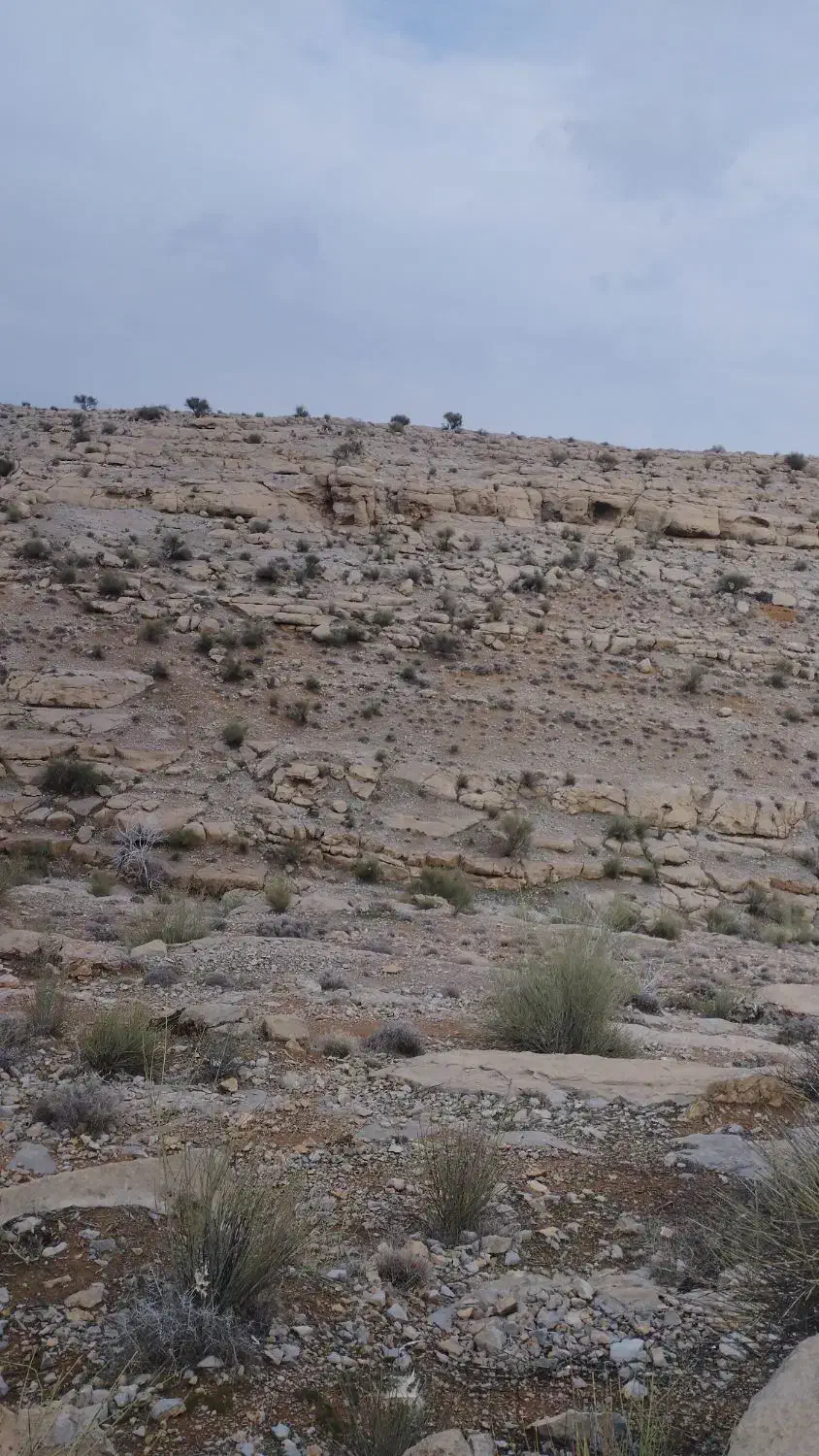 فروشی|عمده‌فروشی|حسن آباد, |دیوار