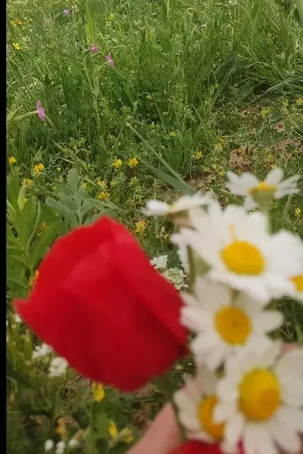 زمین مسکونی تازه آباد غربی|فروش زمین و ملک کلنگی|کوهدشت, |دیوار