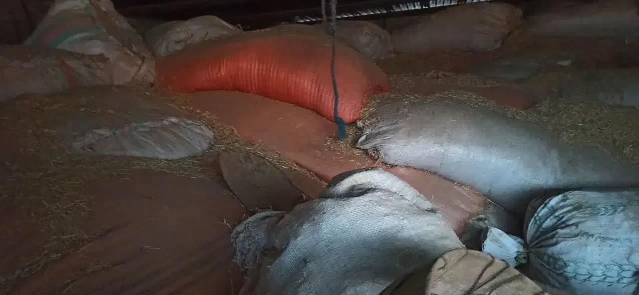 فروش کاه تمیز|لوازم جانبی حیوانات|اندیمشک, |دیوار