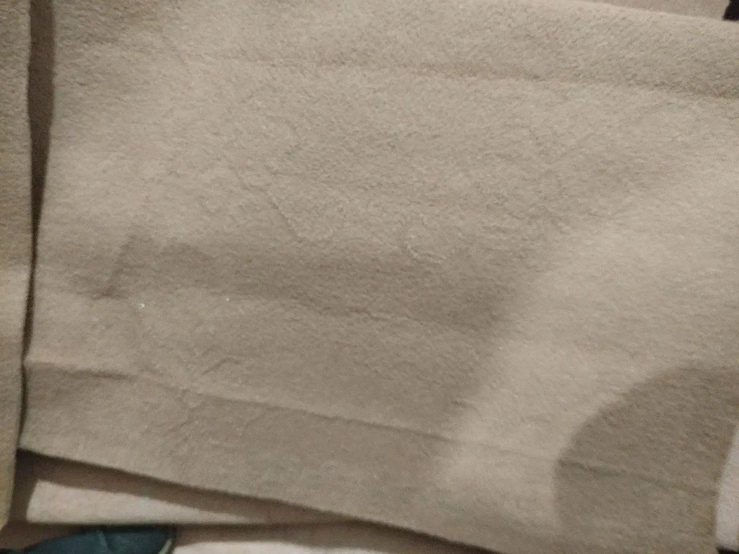 موکت قهوه ای|موکت|همدان, |دیوار