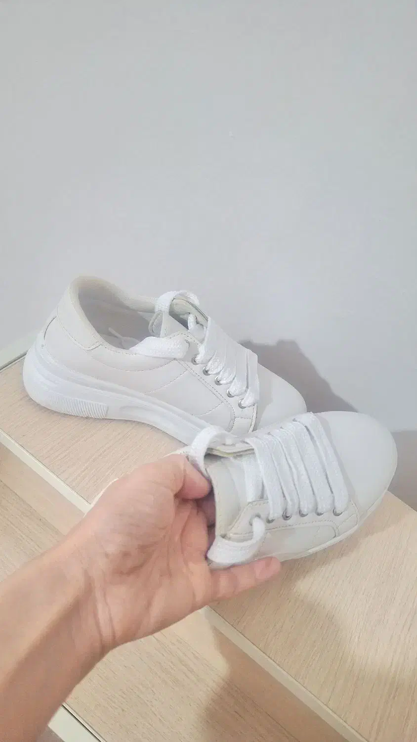 کتونی|کیف، کفش، کمربند|بومهن, |دیوار