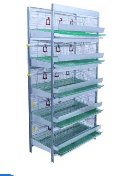 قفس بلدرچین پرآور|حیوانات مزرعه|مینودشت, |دیوار