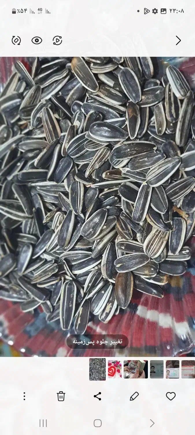 تخمه خام درشت امساله|خوردنی و آشامیدنی|شال, |دیوار