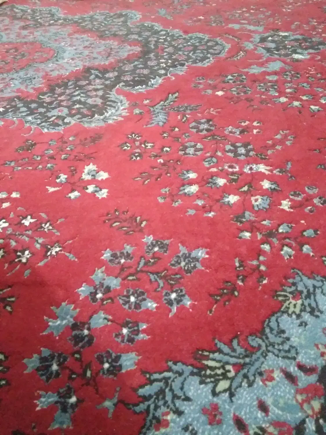 فرش|فرش|گلبهار, شهر جدید گلبهار|دیوار