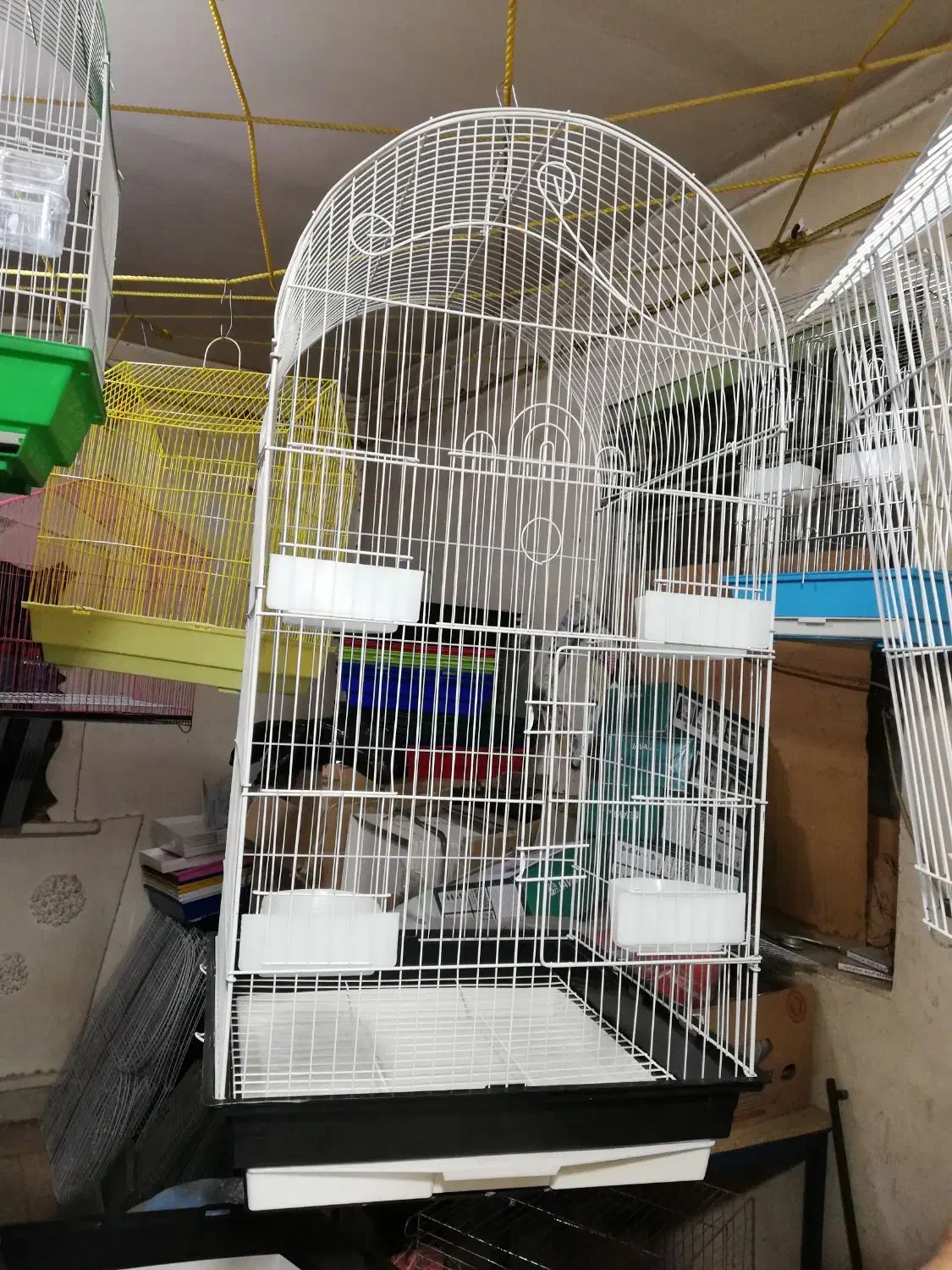 انواع قفس، دانه و وسایل قفس پرنده|لوازم جانبی حیوانات|شیراز, گلکوب|دیوار