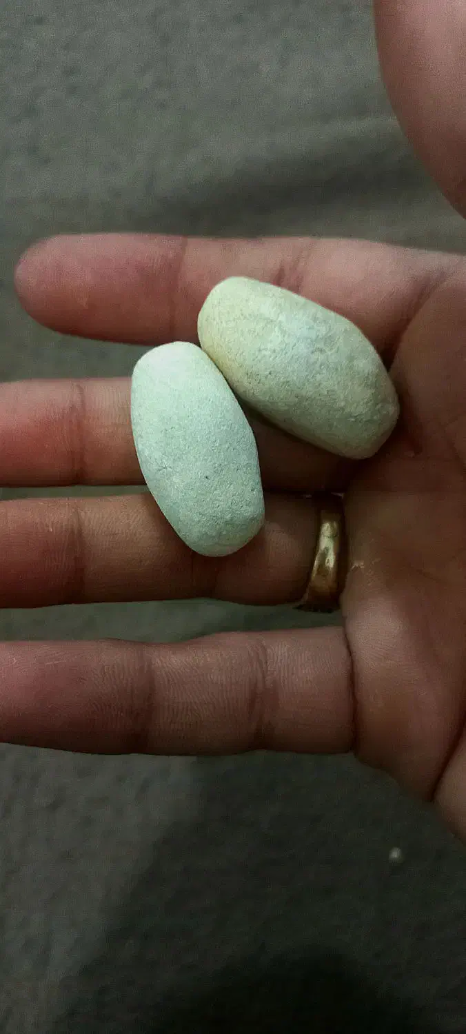 مهره قیمتی|کلکسیون اشیاء عتیقه|دره شهر, |دیوار