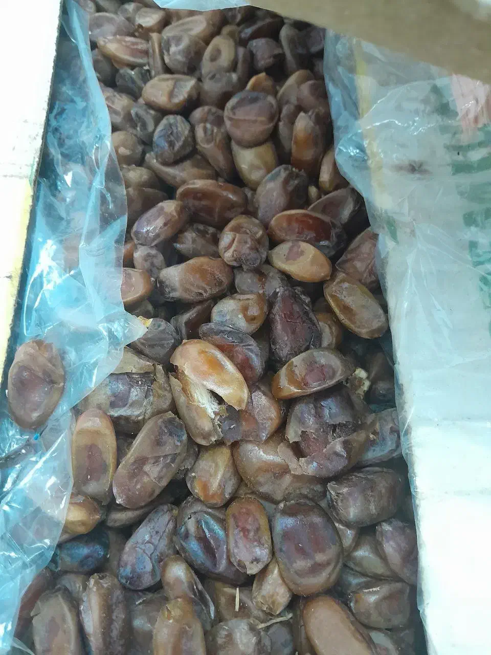 خرمای بدون هسته|خوردنی و آشامیدنی|قم, پردیسان|دیوار