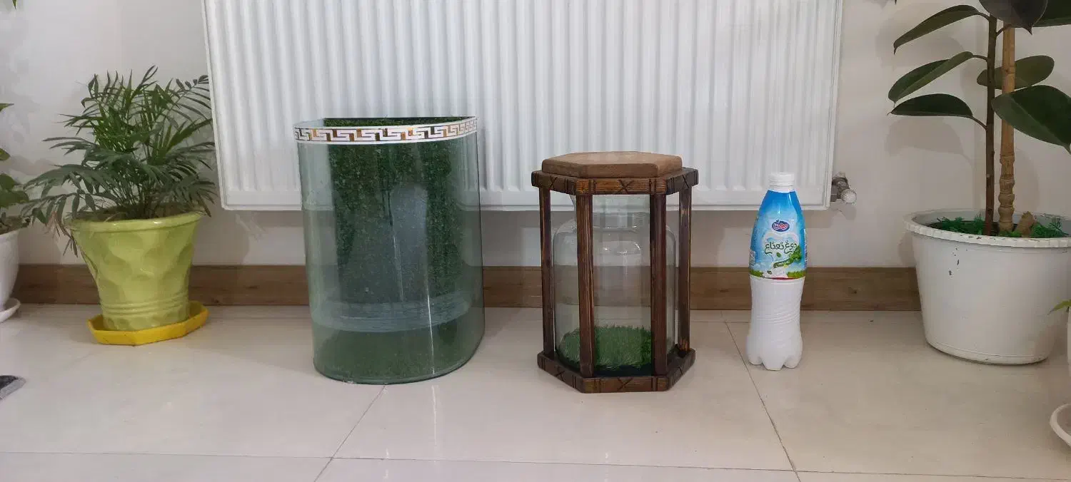 آکواریوم خاص|ماهی|زاهدان, |دیوار