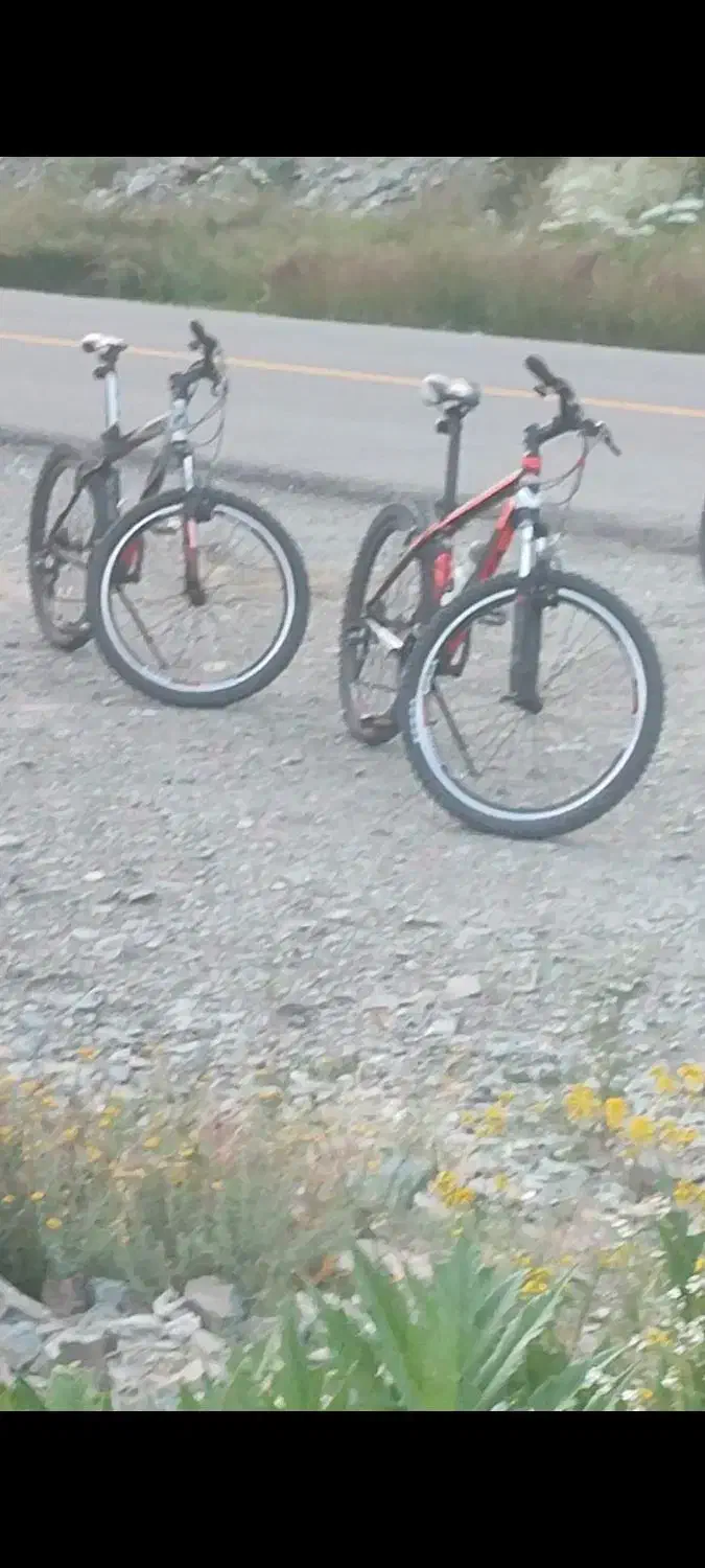 دوچرخه برای فروش|دوچرخه، اسکیت، اسکوتر|آسارا, |دیوار