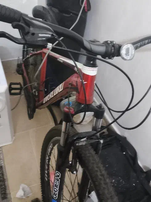 دوچرخه|دوچرخه، اسکیت، اسکوتر|بروجن, |دیوار