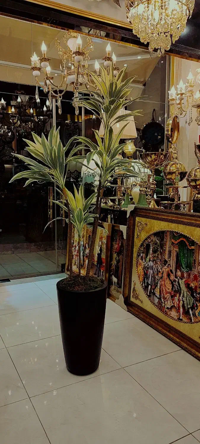 درختچه وارداتی ارتفاع ۱۹۰|گل مصنوعی|تبریز, |دیوار