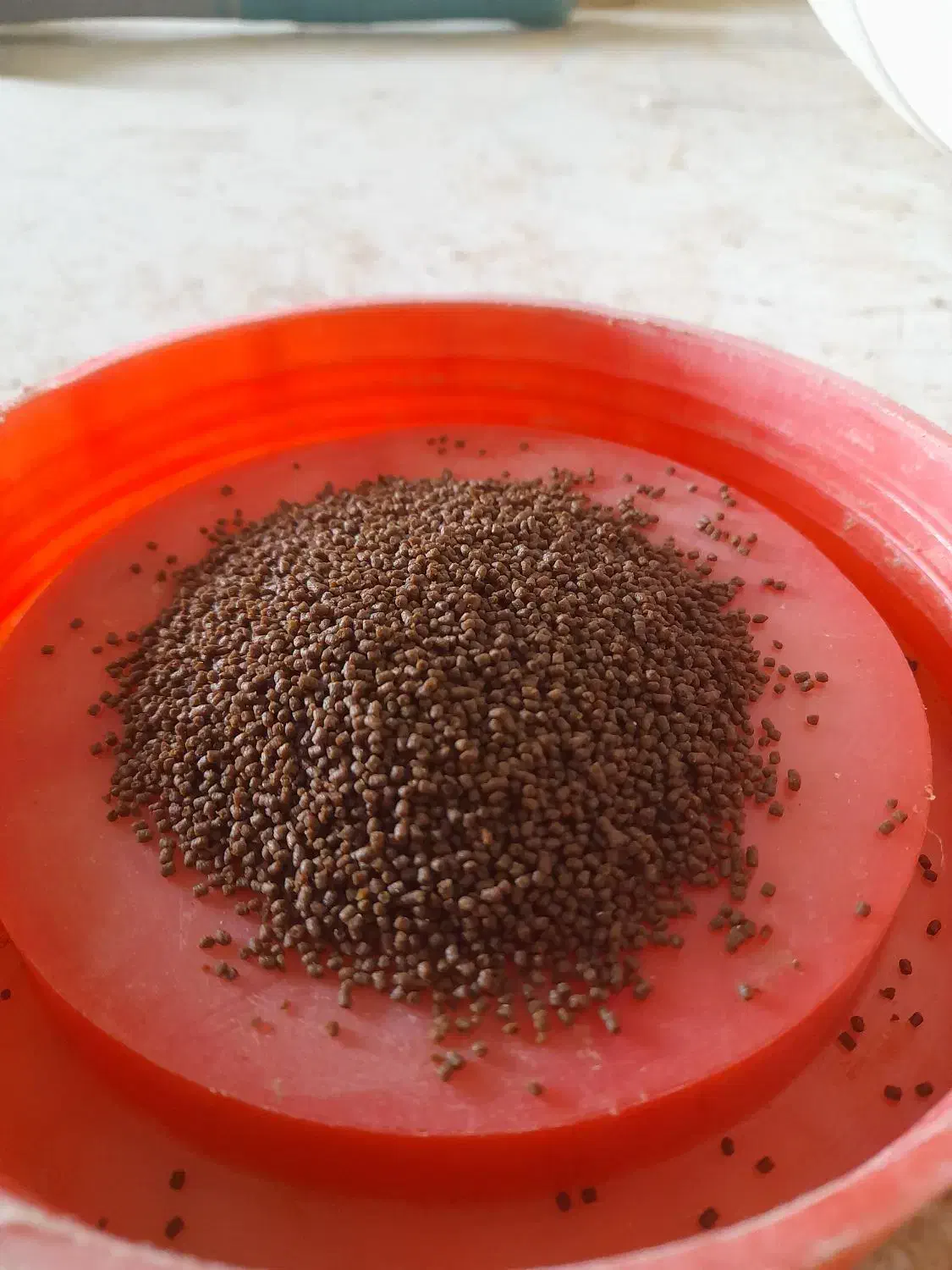 بیومار|ماهی|ورامین, ورامین|دیوار