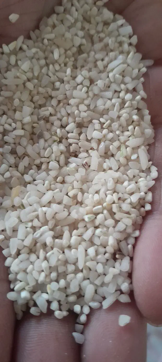 برنج سالم و نیمدانه|خوردنی و آشامیدنی|بروجرد, |دیوار