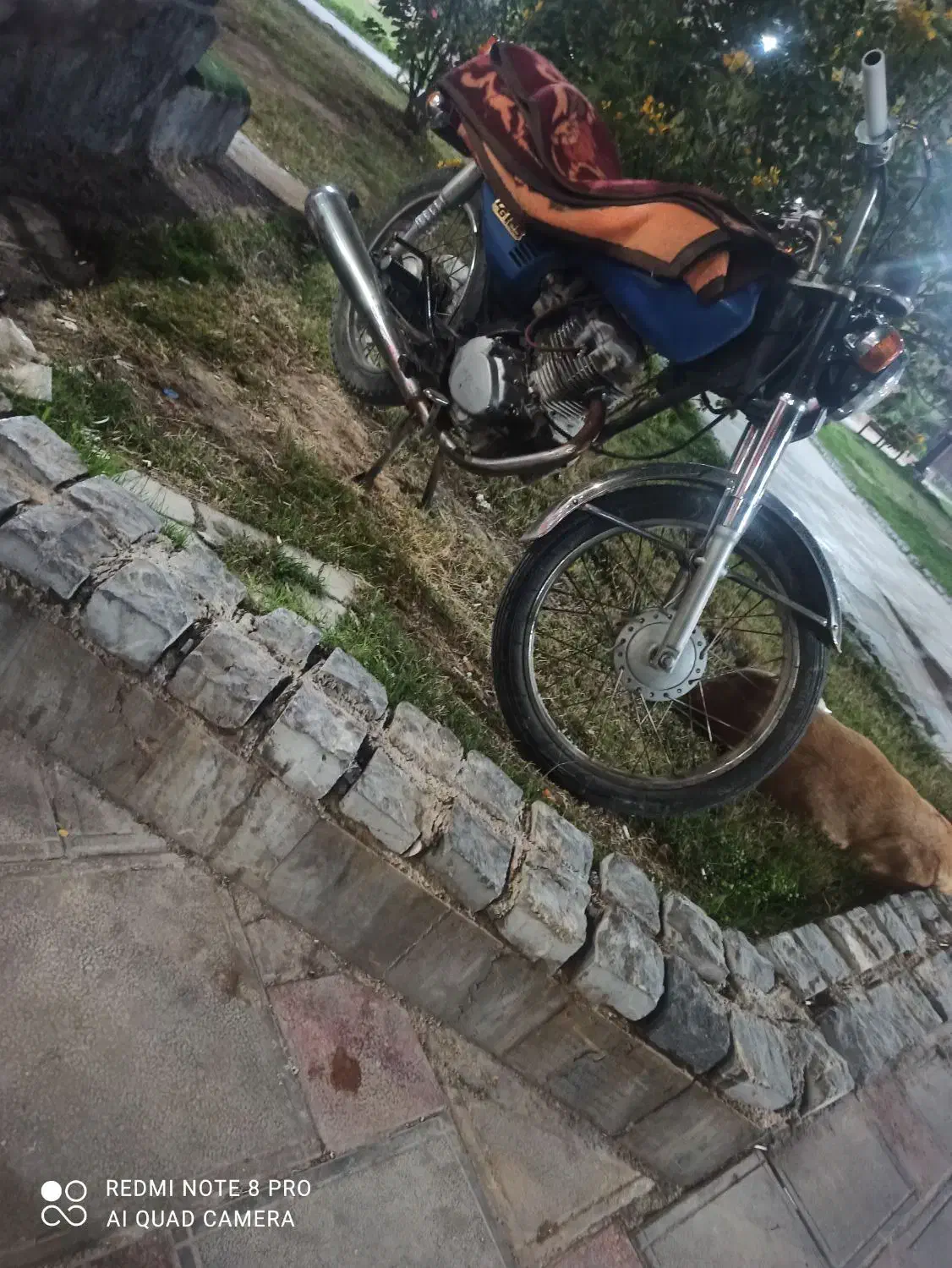 متور ۱۲۵ در حد صفر|موتورسیکلت|بندر ماهشهر, |دیوار