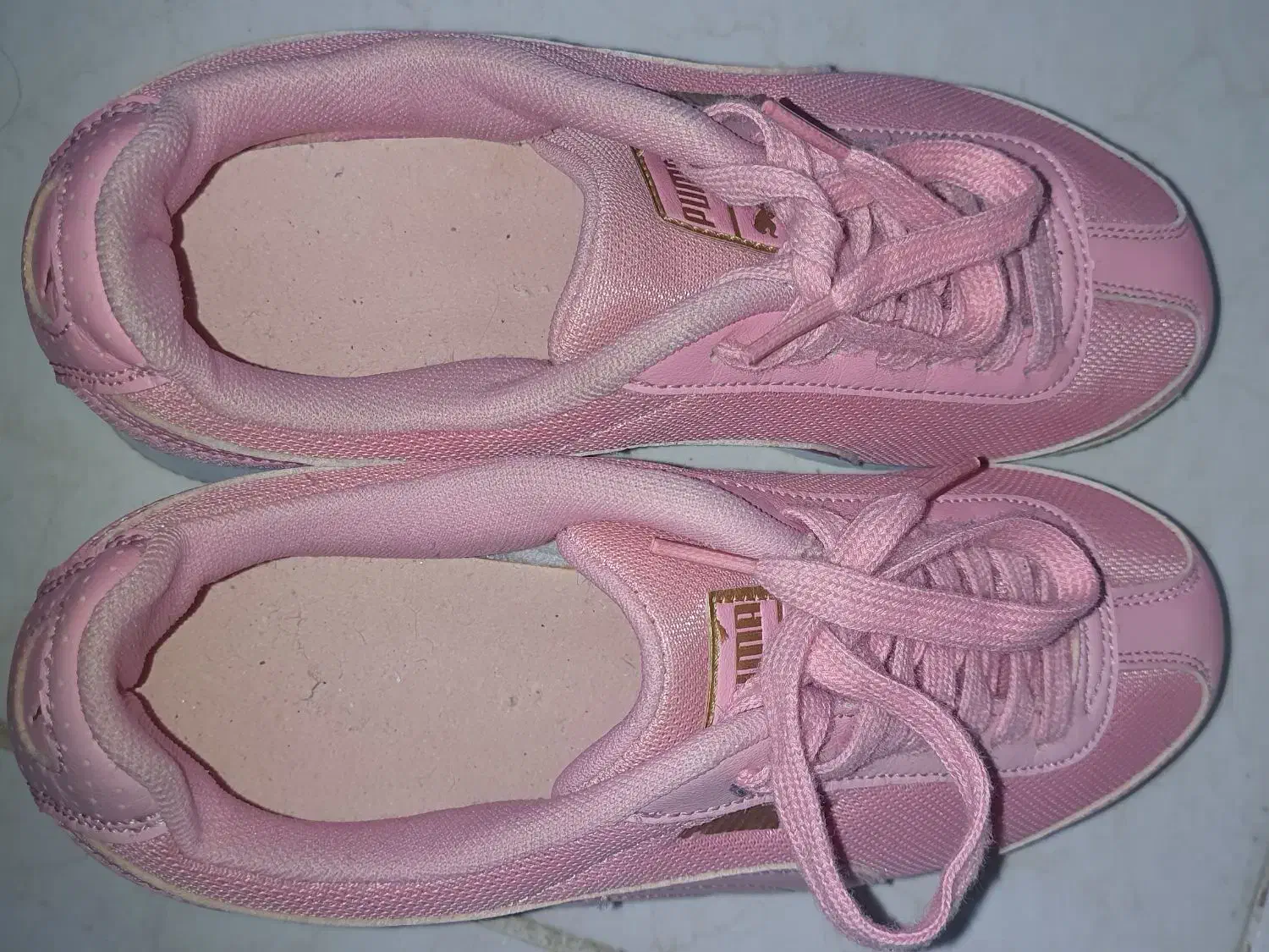 کفش|کیف، کفش، کمربند|فردیس, نگارستان|دیوار