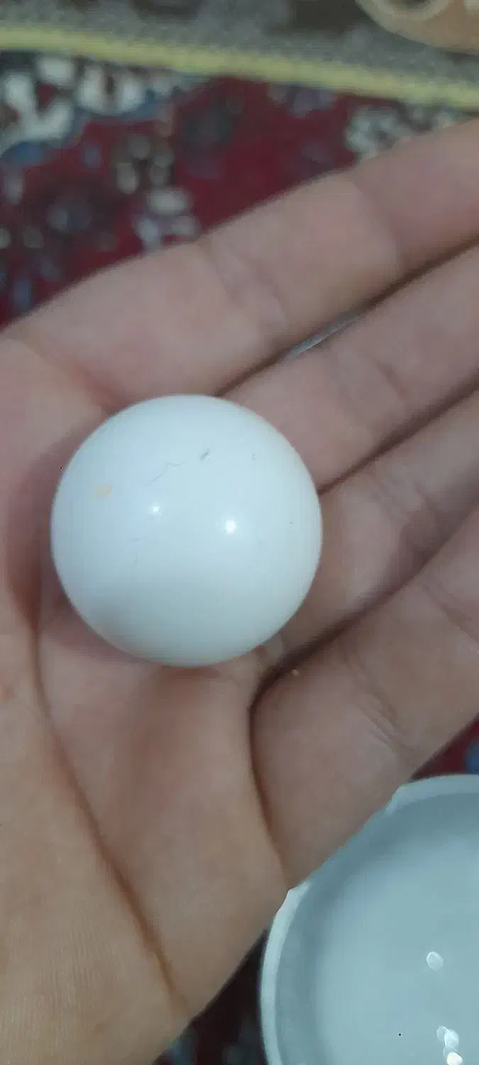 سنگ اسیاب یا سنگ الماس|جواهرات|برازجان, |دیوار