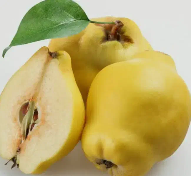 سورت میوه|استخدام خدمات فروشگاه و رستوران|نوشین شهر, |دیوار