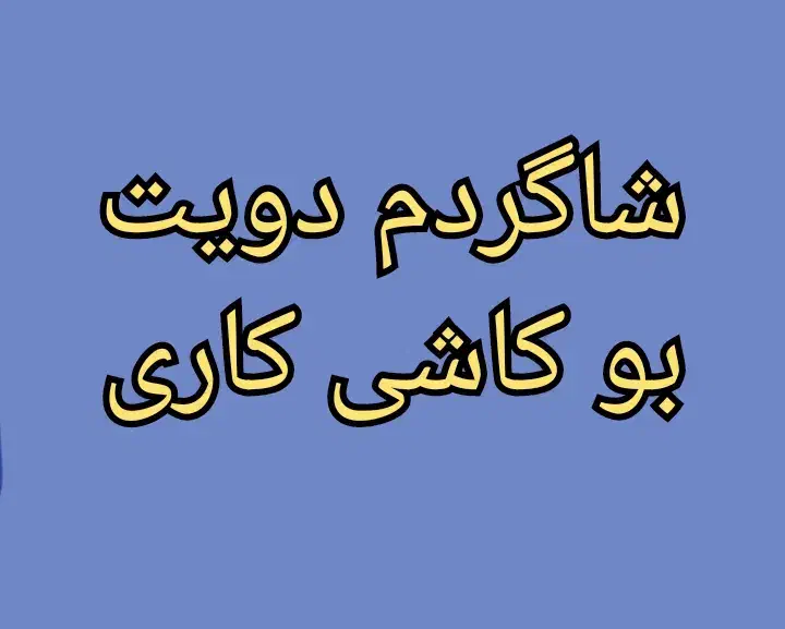 شاگرد میخوام واسه کاشی کاری|استخدام معماری، عمران و ساختمانی|بوکان, |دیوار