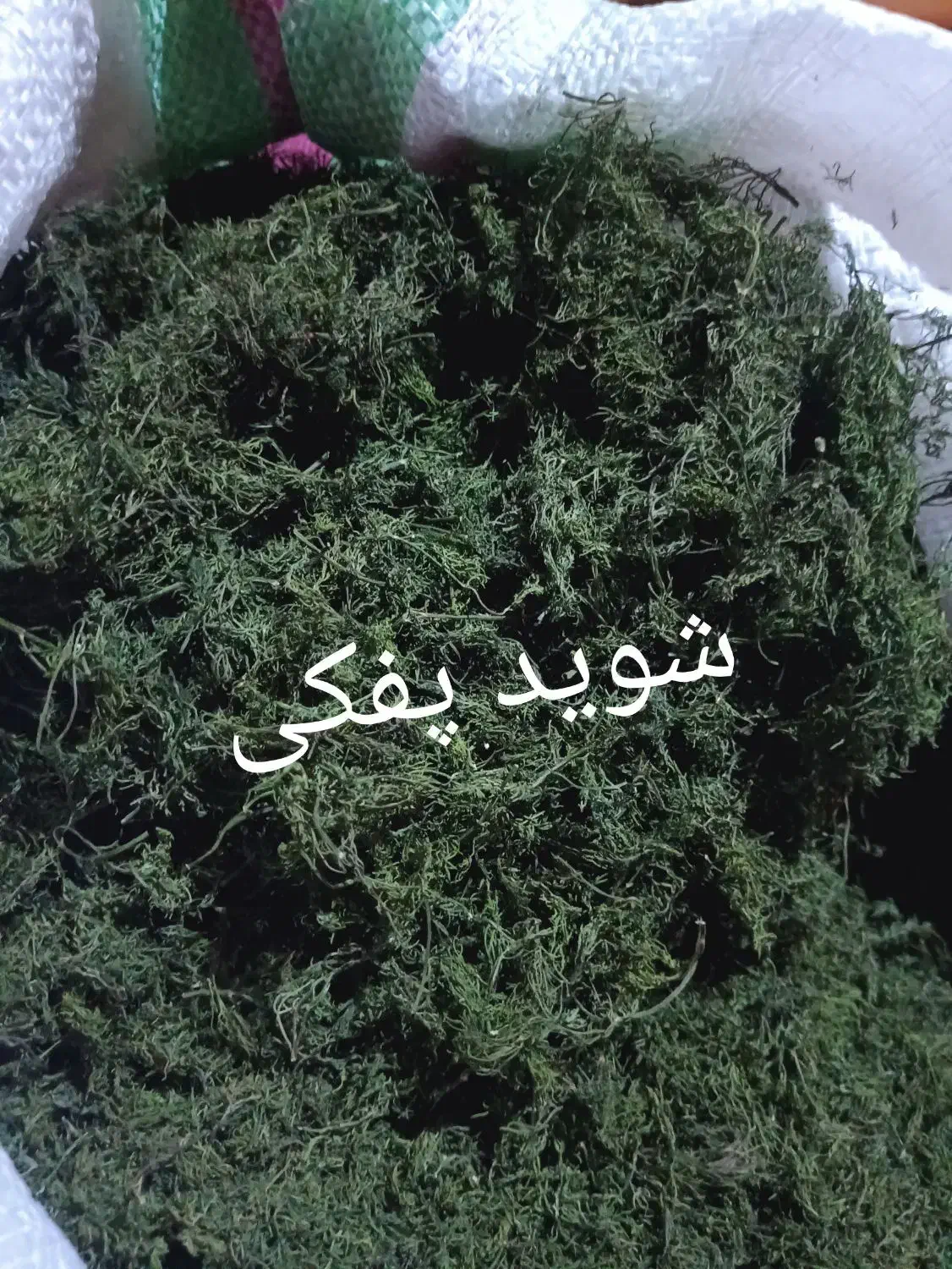 سبزی خشک|خوردنی و آشامیدنی|شیراز, ظفرآباد|دیوار
