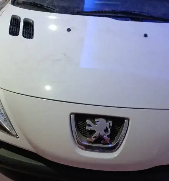 پژو ۲۰۷|خودرو سواری و وانت|شیراز, تل حسین‌آباد|دیوار