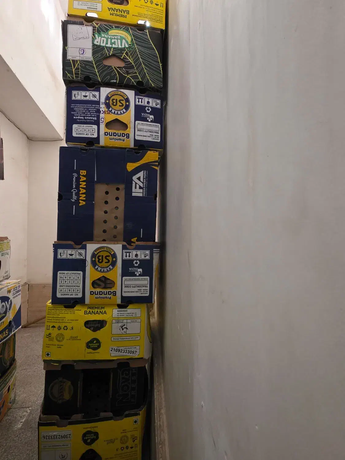 کارتن موزی 20 عدد|عمده‌فروشی|فردیس, شهرک ارم|دیوار