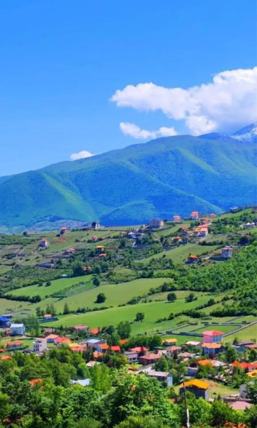 کلاردشت زمین شهرکی سند تک برگ‌ اقساطی بدون سود|فروش زمین و ملک کلنگی|کلاردشت, |دیوار