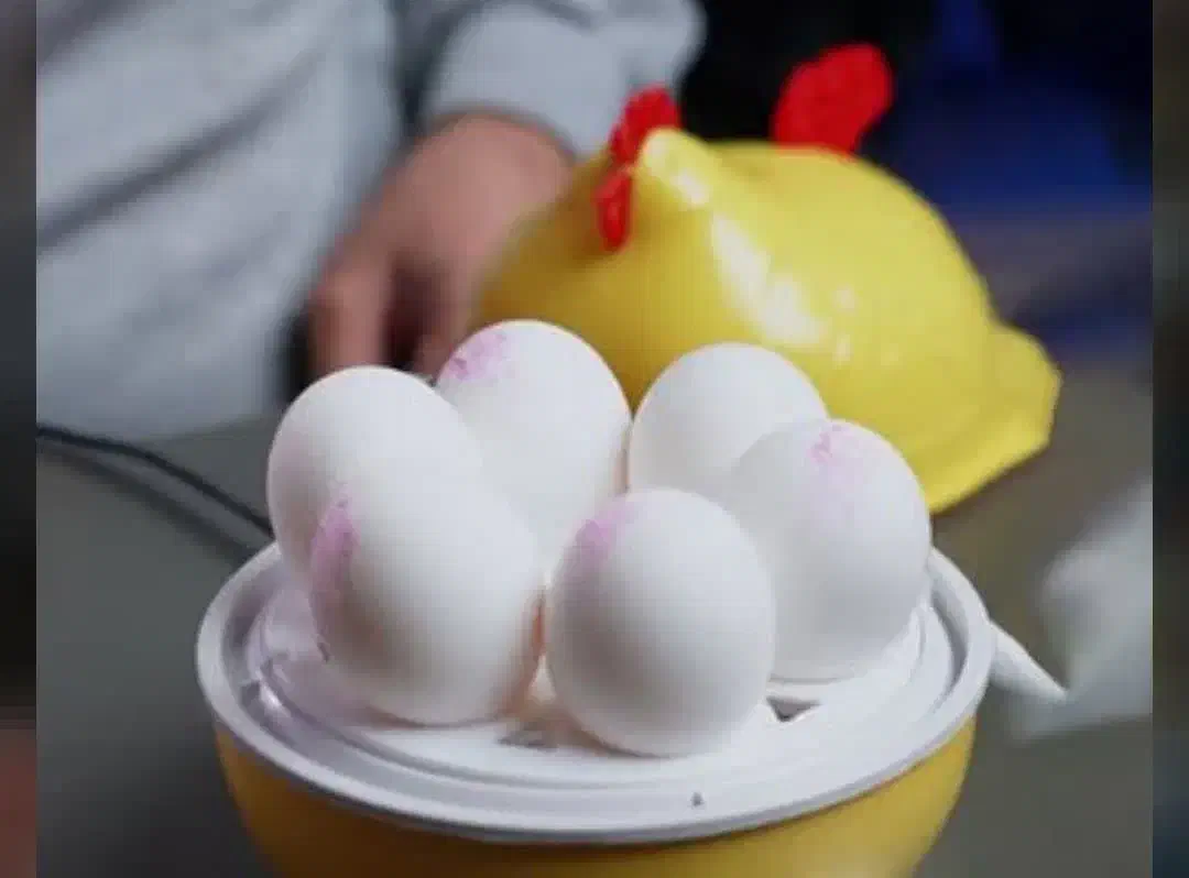 دستگاه تخم مرغ پز|اجاق گاز و لوازم برقی پختوپز|کاشان, باغ ماجد|دیوار