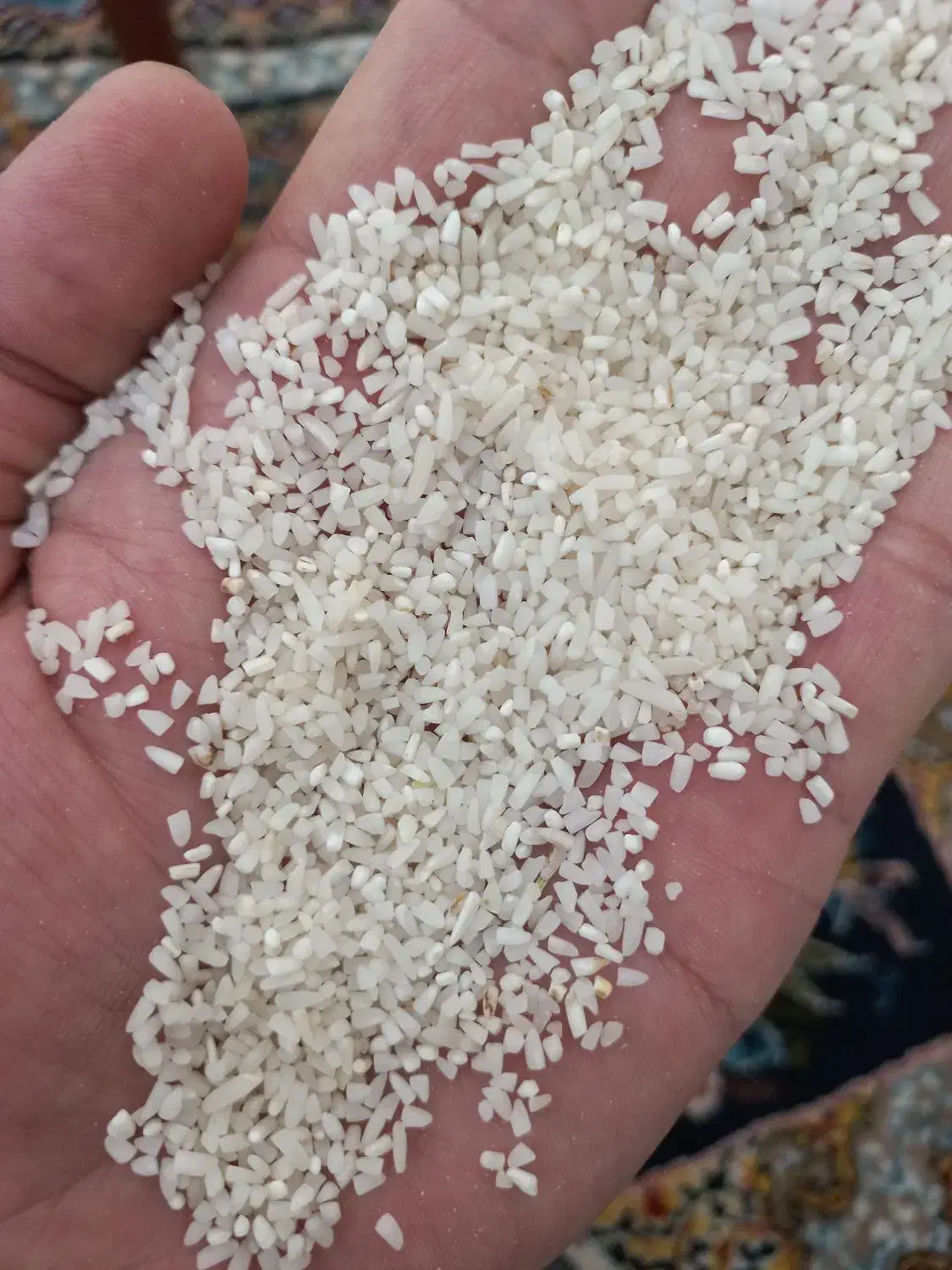 نیم دانه طارم هاشمی مازندران امساله|خوردنی و آشامیدنی|قم, پردیسان|دیوار