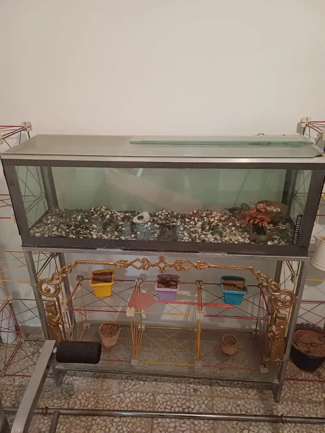 سرگرمی حیوان ماهی|ماهی|اراک, |دیوار