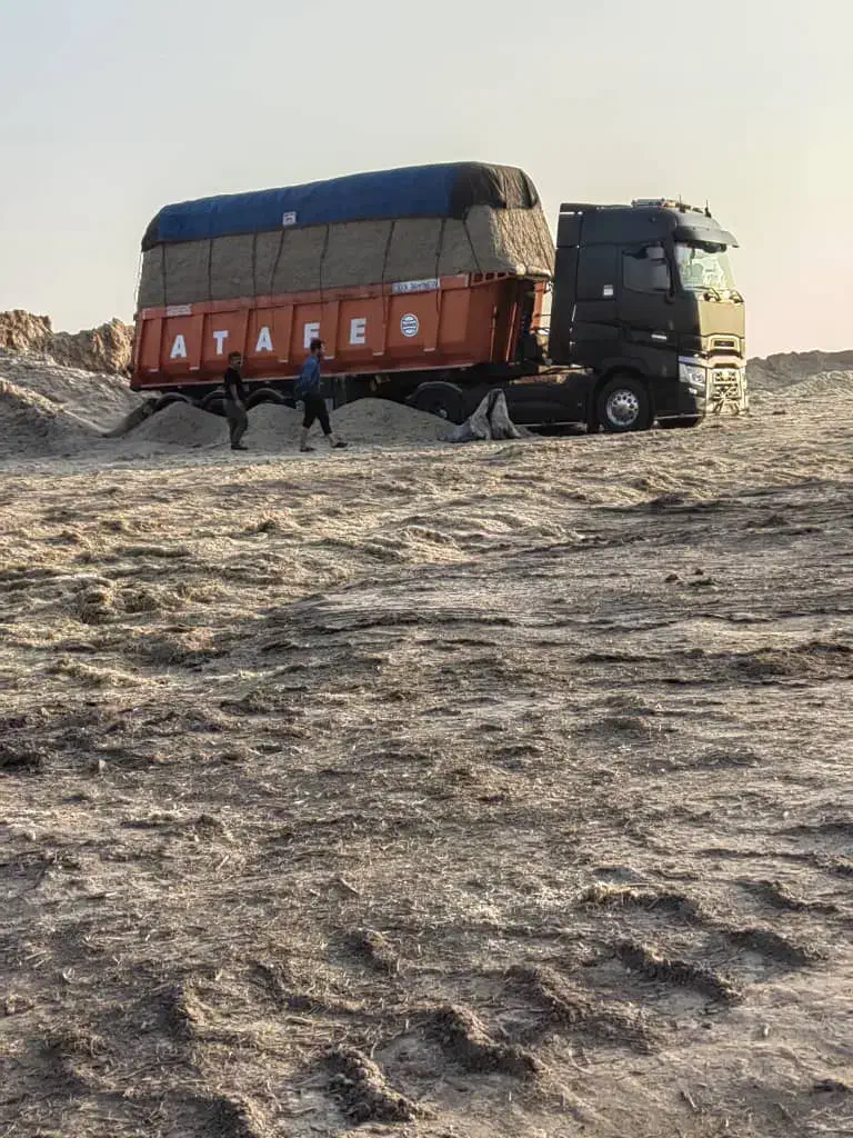 باگاس کاه نیشکر تازه|حیوانات مزرعه|اصفهان, حصه جنوبی|دیوار