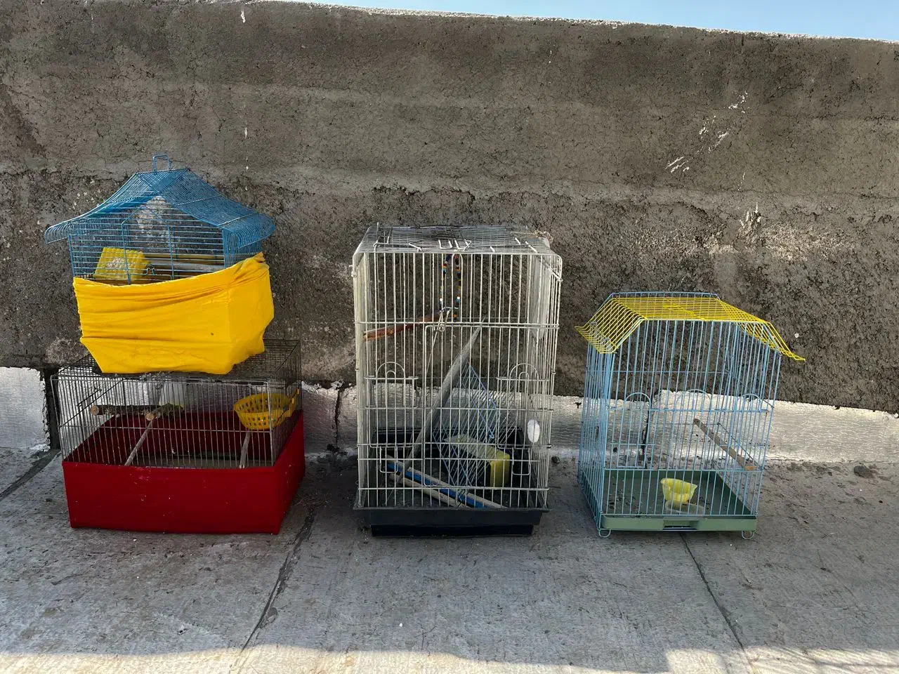 قفس|لوازم جانبی حیوانات|مشکین‌دشت, |دیوار