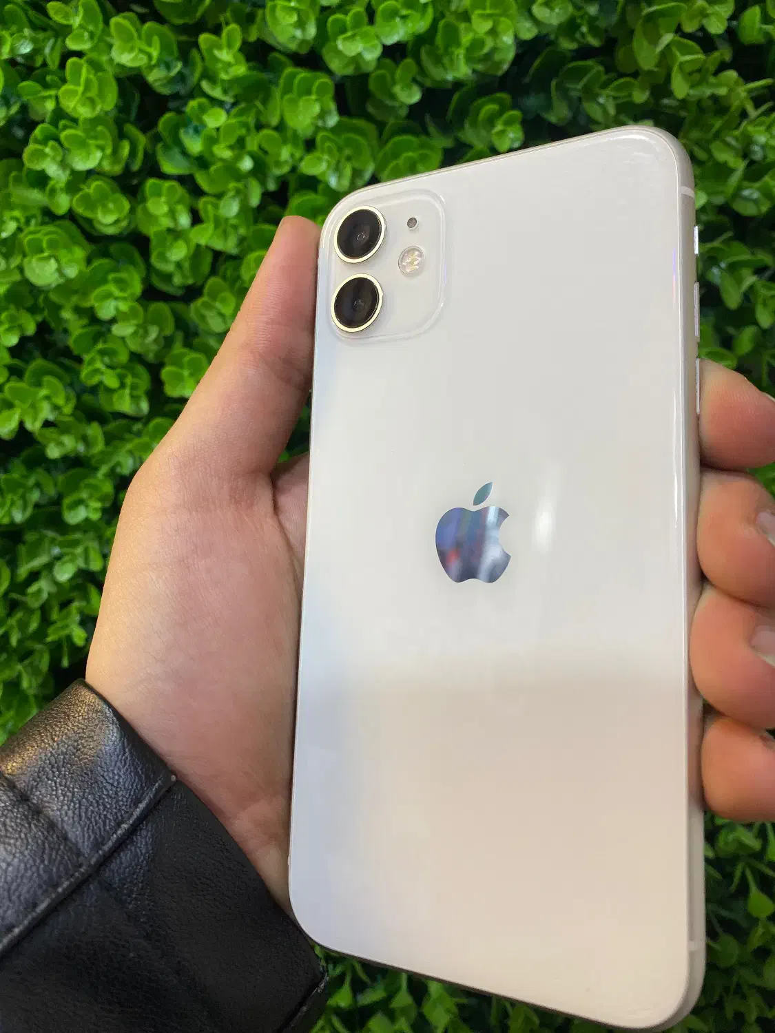 آیفون یازده نرمال|موبایل|میانه, |دیوار