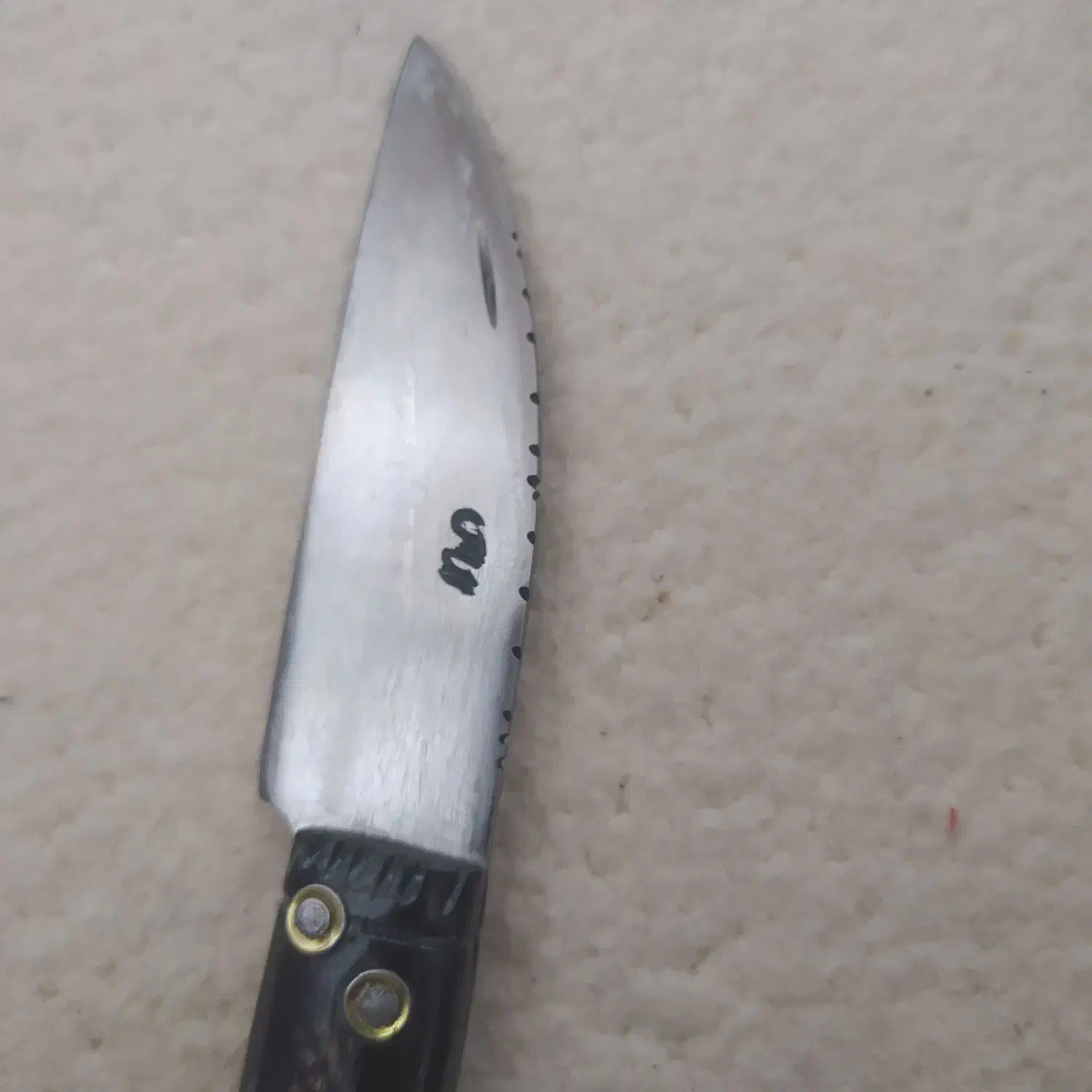 چاقو گوسفندی کوهنوردی|کوهنوردی و کمپینگ|سنندج, |دیوار