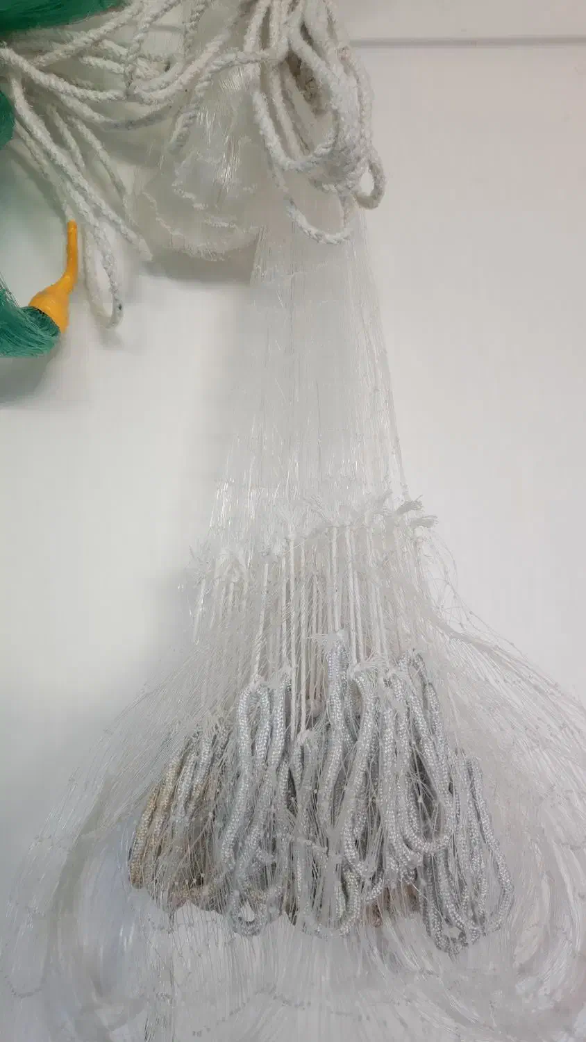 تور  ماهیگیری|ماهیگیری|شاهین دژ, |دیوار