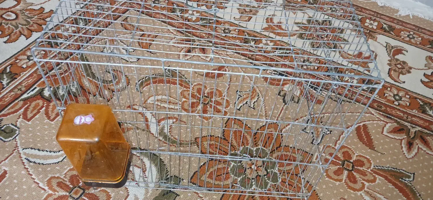 قفس پرنده ارتفاع ۲۴ سانت|لوازم جانبی حیوانات|تهران, زرکش|دیوار