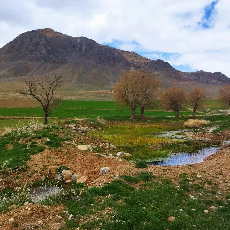 زمین مسکونی برخیابان۲۴متری کشمش تپه|فروش زمین و ملک کلنگی|ماکو, |دیوار
