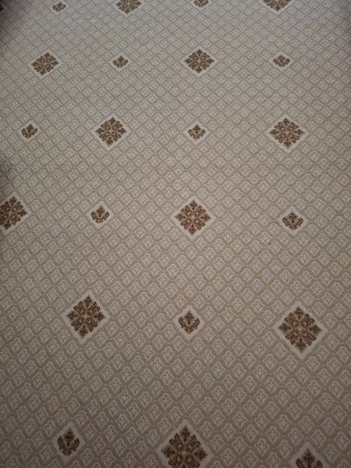 موکت|موکت|اصفهان, شفق|دیوار