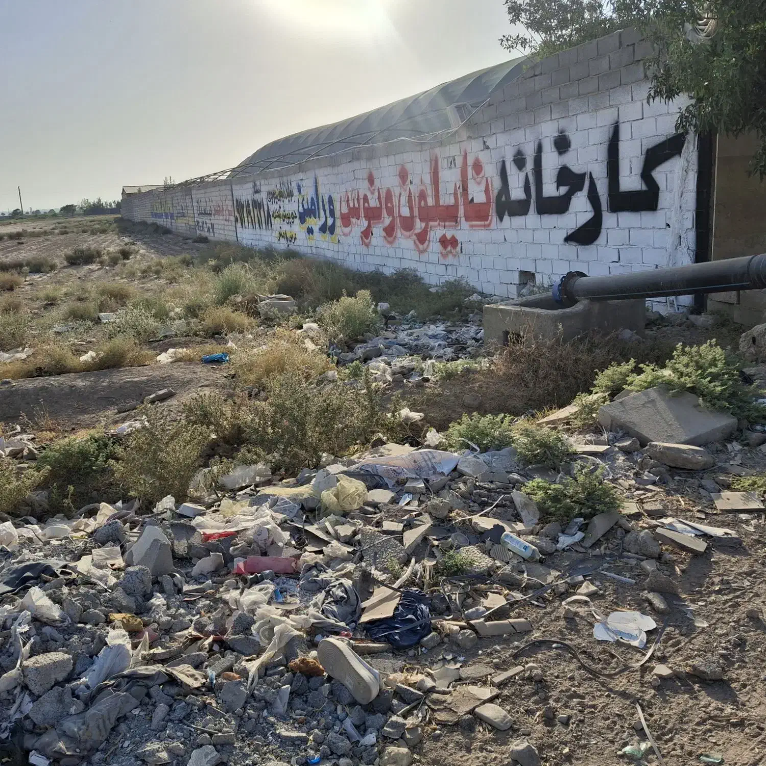 زمین گلخانه جیتو فیلستان بر جاده اصلی|فروش دفتر صنعتی، کشاورزی، تجاری|پاکدشت, پاکدشت (مامازند)|دیوار