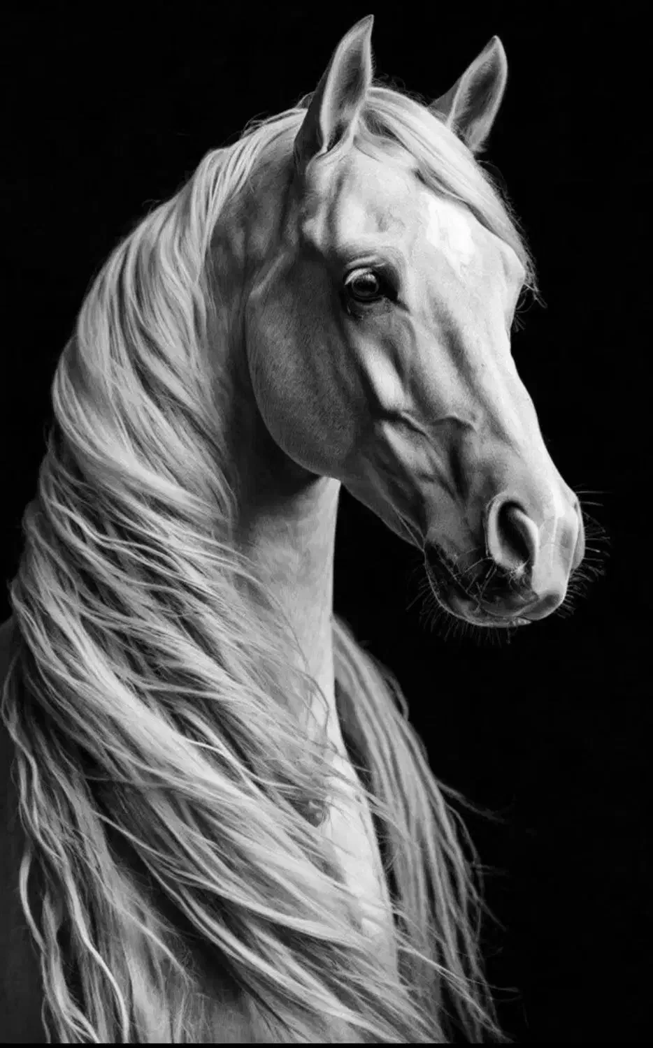 آموزش سیاه قلم انجام وپذیرفته میشود|خدمات آموزشی|کرمان, |دیوار