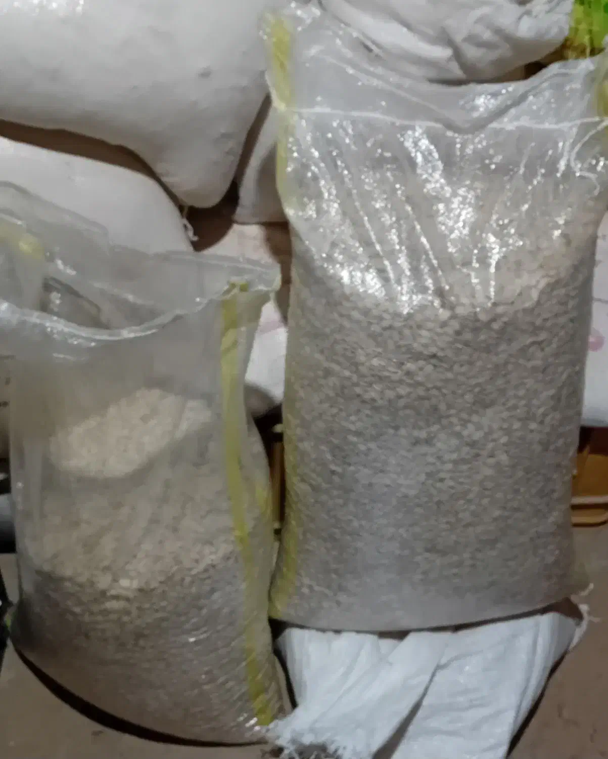 تخمه کدو|خوردنی و آشامیدنی|آوج, |دیوار