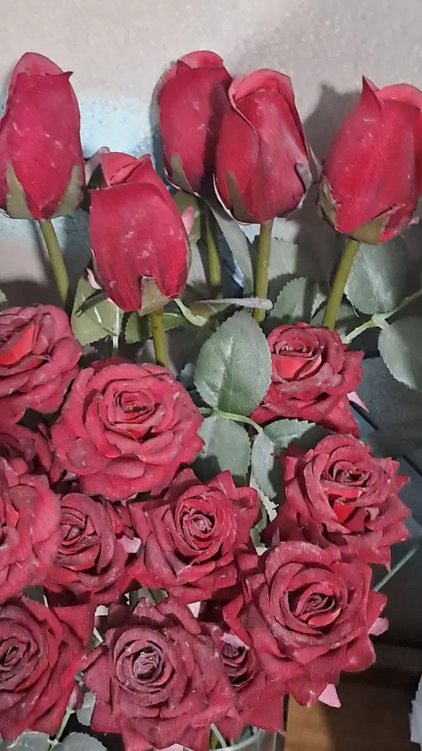 خدمات آرایشی|خدمات آرایشگری و زیبایی|شیراز, پودنک|دیوار