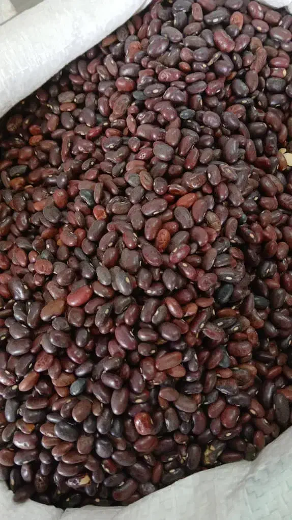 لو بیا عمده 100|خوردنی و آشامیدنی|کوهدشت, |دیوار