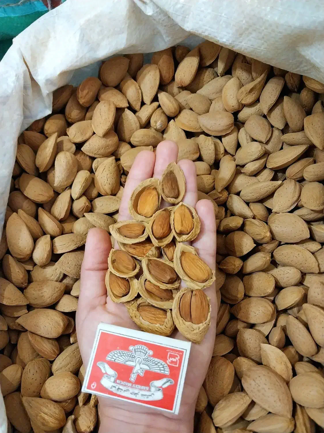 بادام سنگی *دیم* امسالی *تضمینی* ۱۰۰درصد شیرین|خوردنی و آشامیدنی|مشهد, امامیه (شهرک غرب)|دیوار