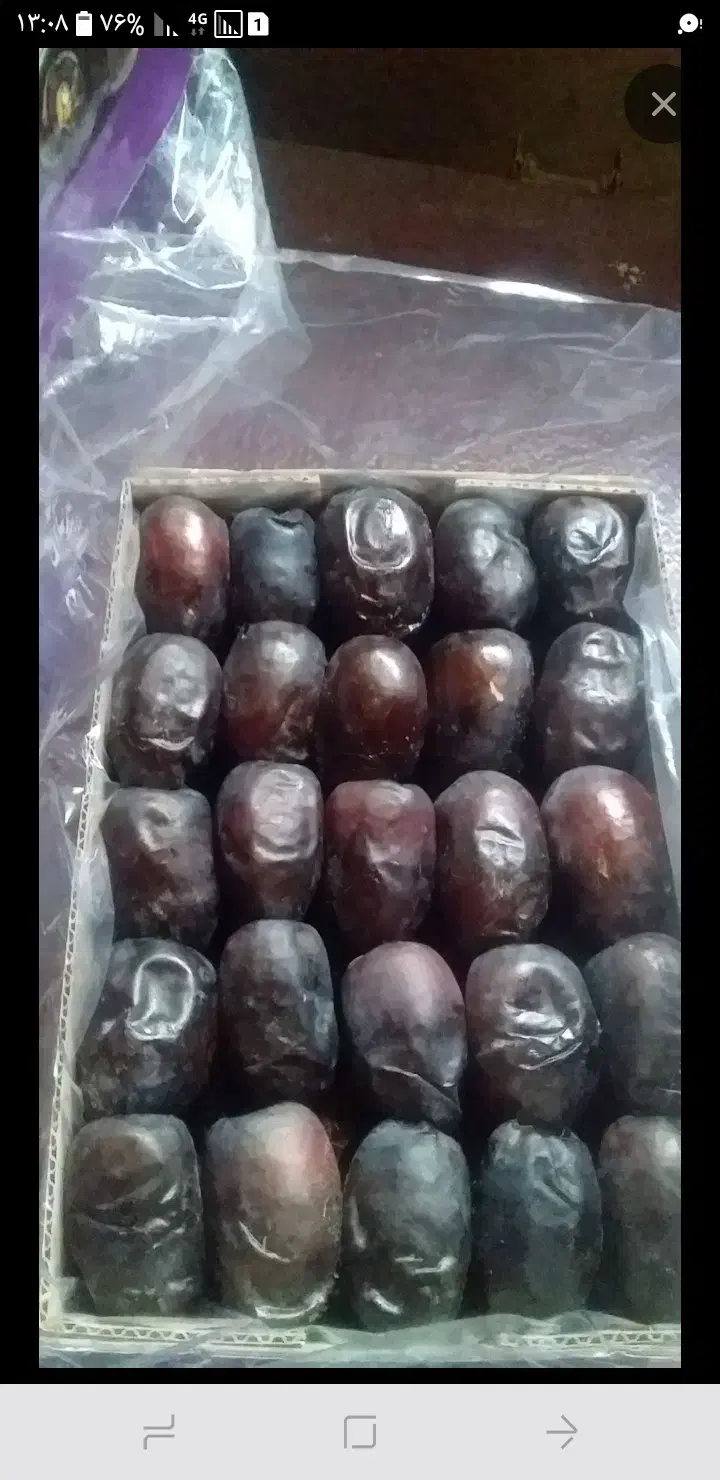 خرما دو ردیف|خوردنی و آشامیدنی|مهرستان, |دیوار