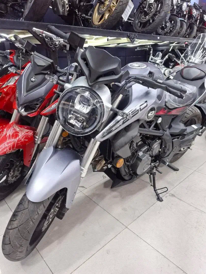 کیوجی qj srk ۲۵۰(بنلی) اقساطی|موتورسیکلت|تهران, هاشمی|دیوار