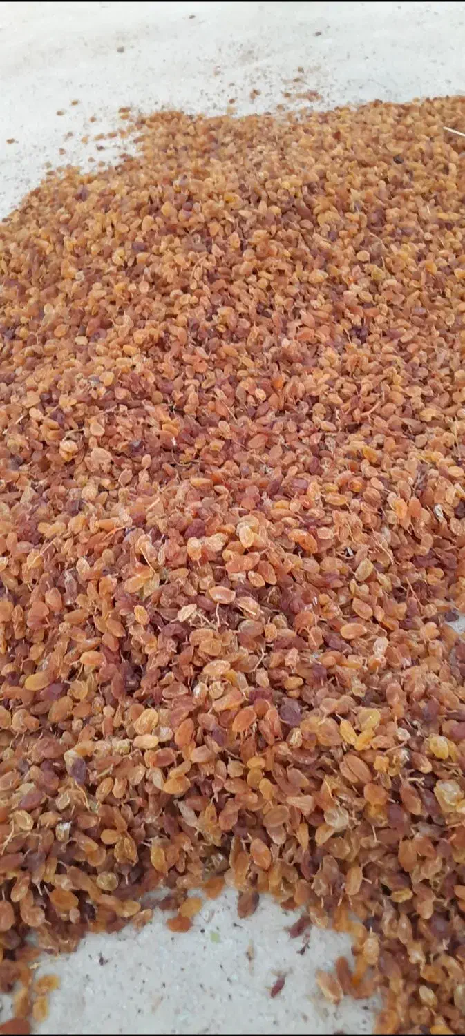 کشمش|خوردنی و آشامیدنی|یاسوج, |دیوار