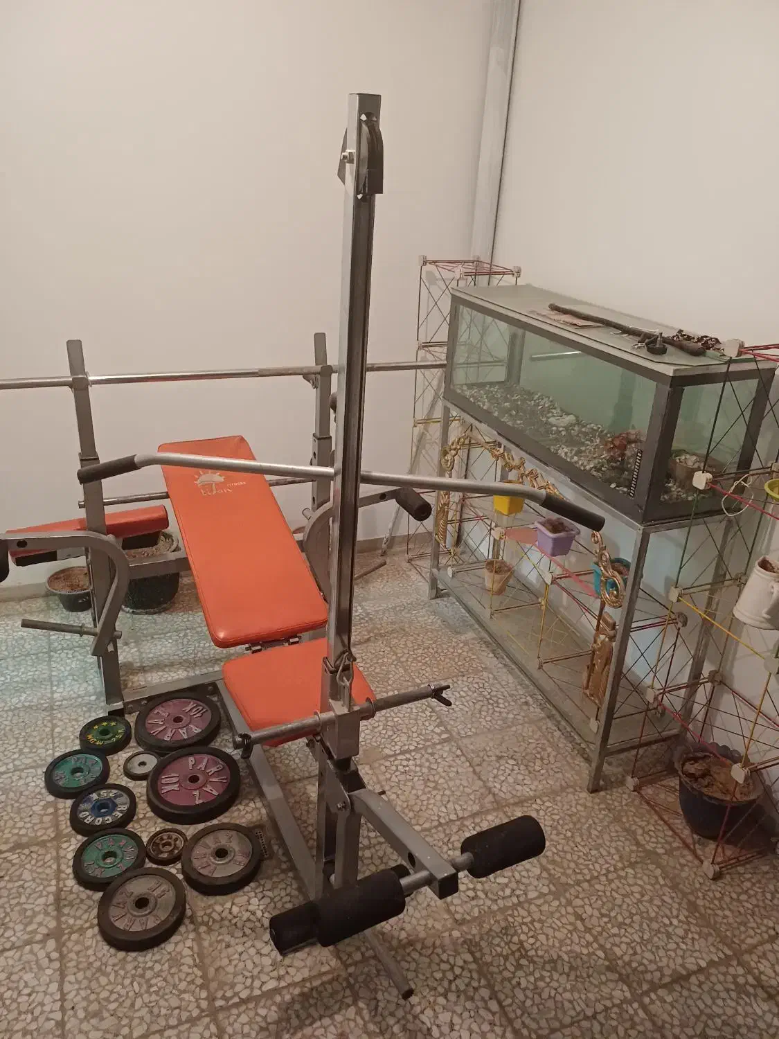 سرگرمی حیوان ماهی|ماهی|اراک, |دیوار