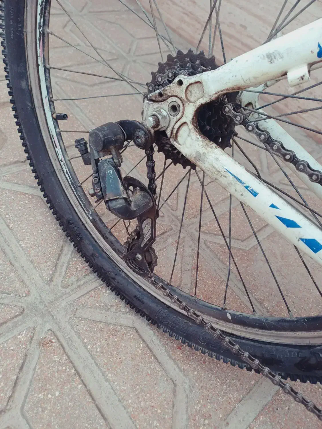 دوچرخه ویوا|دوچرخه، اسکیت، اسکوتر|مشهد, کلاته برفی|دیوار