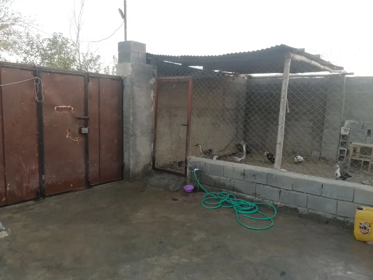 خانه ویلایی|فروش خانه و ویلا|دینور, |دیوار